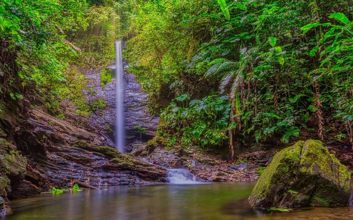 Hike To Sombosson Waterfall - Trinidad And Tobago Newsday