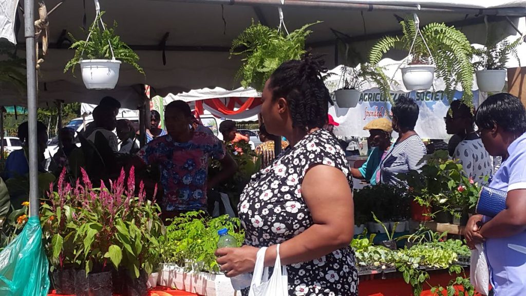 Patrons shop for plants at the mini-exhibition hosted by the Division of Food Production in Scarborough on October 16 to mark World Food Day 2017.