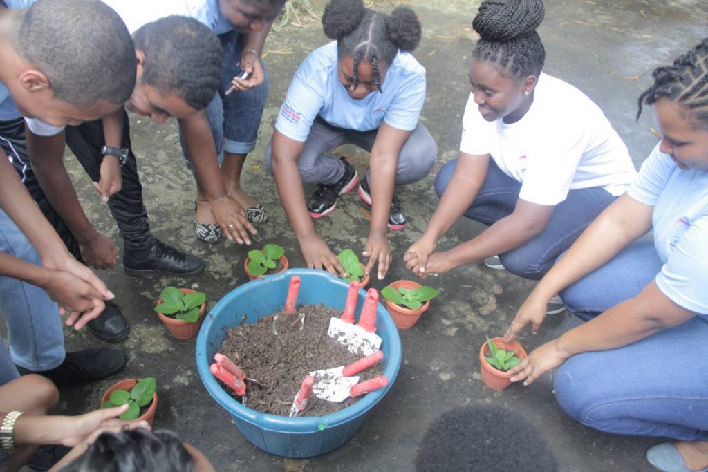  Students from Manzanilla High School pot the poui trees as part of the reafforestation initiative.
