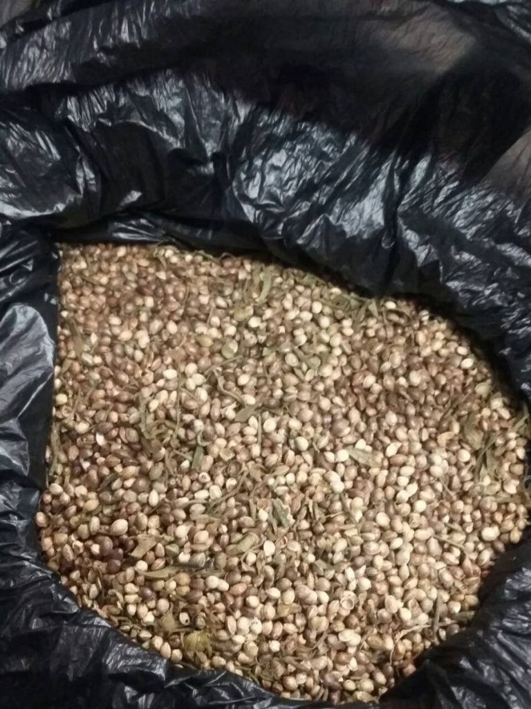 A black bag containing marijuana seeds which was seized by Rio Claro police on the weekend.