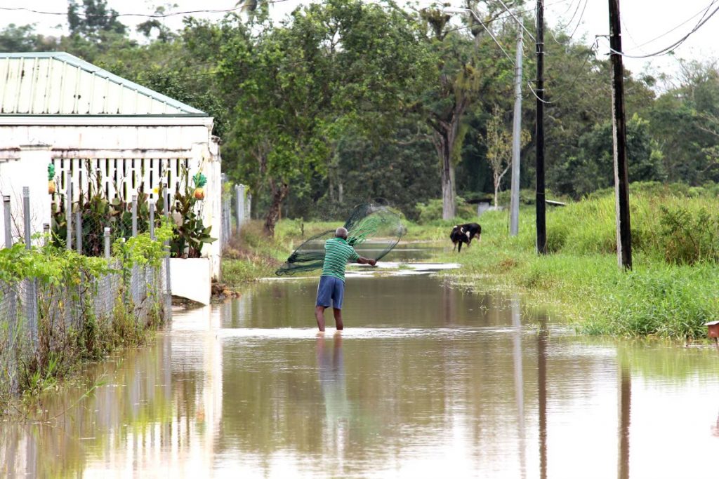 File photo: A resident along Nanan South Trace, along Rochard Douglas Road, Barrackpore, tries his hand at cast fishing in flood waters.