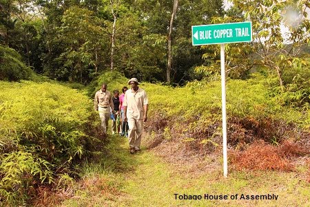 Main Ridge Forest Reserve in Tobago is the Western Hemisphere’s oldest declared forest reserve.