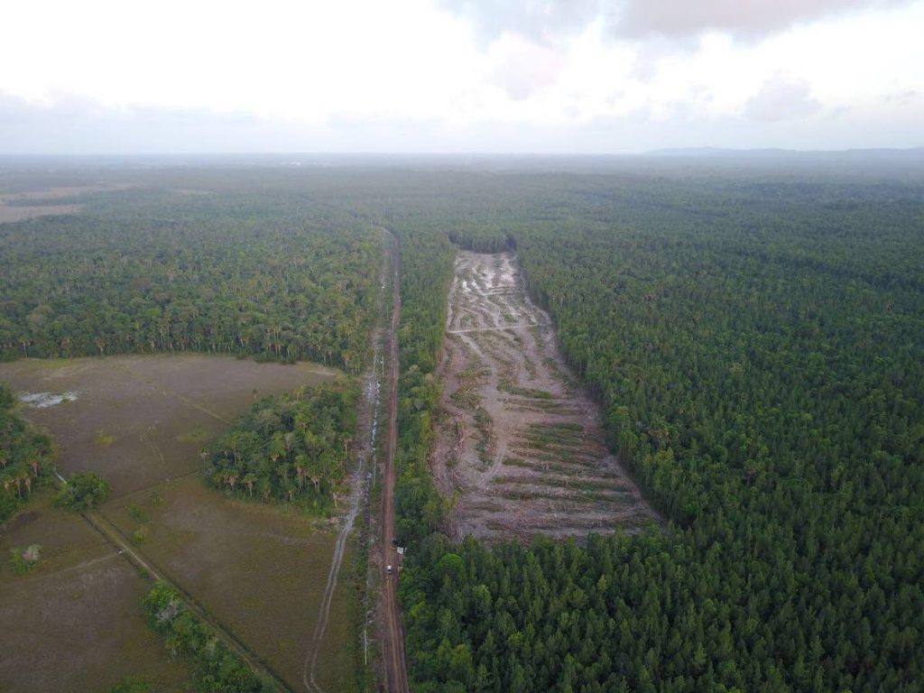 An aerial shot, provided by Fishermen and Friends of the Sea, showing an area that had been cleared to make way for the new Manzanilla highway near southern boundary of the Aripo Savannah.