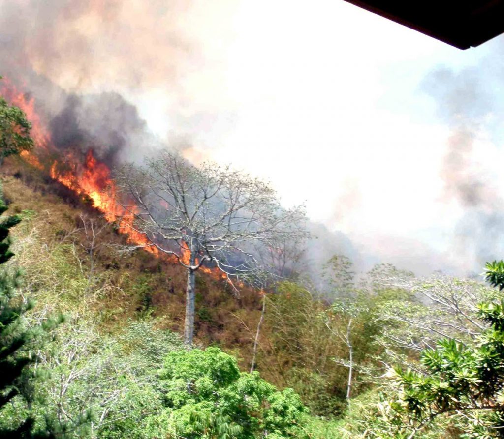 Bush fires, like this one in the Maraval Hills, are a common feature during the Dry Season. FILE PHOTO