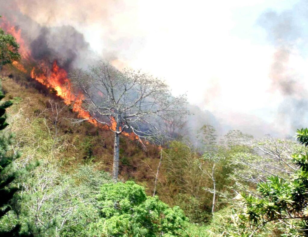 Bush fires, like this one in the Maraval Hills, are a common feature during the dry season. FILE PHOTO