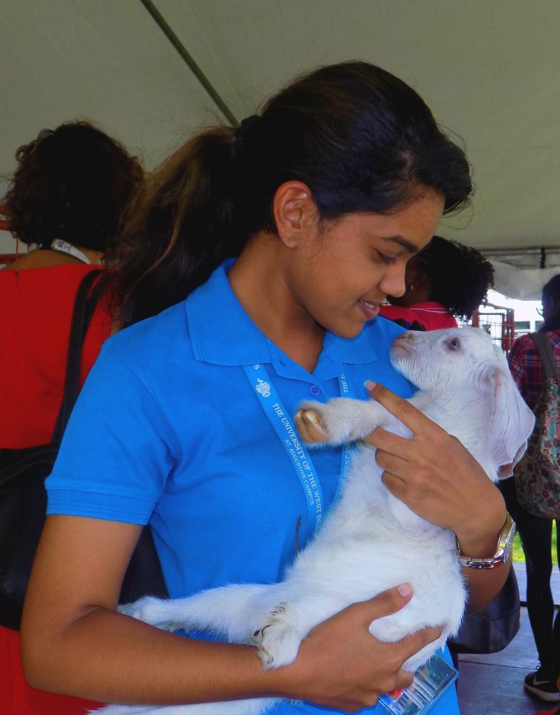 Shantelle Badho, a year one student of the UWI’s Faculty of Food and Agriculture, cradles a baby goat used as an exhibit at the university’s Agri Tech Expo yesterday.

