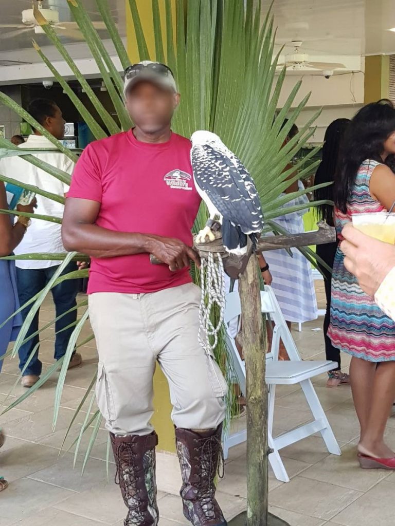 Poor Owl! – One of the birds on show to Moka patrons amid the noise