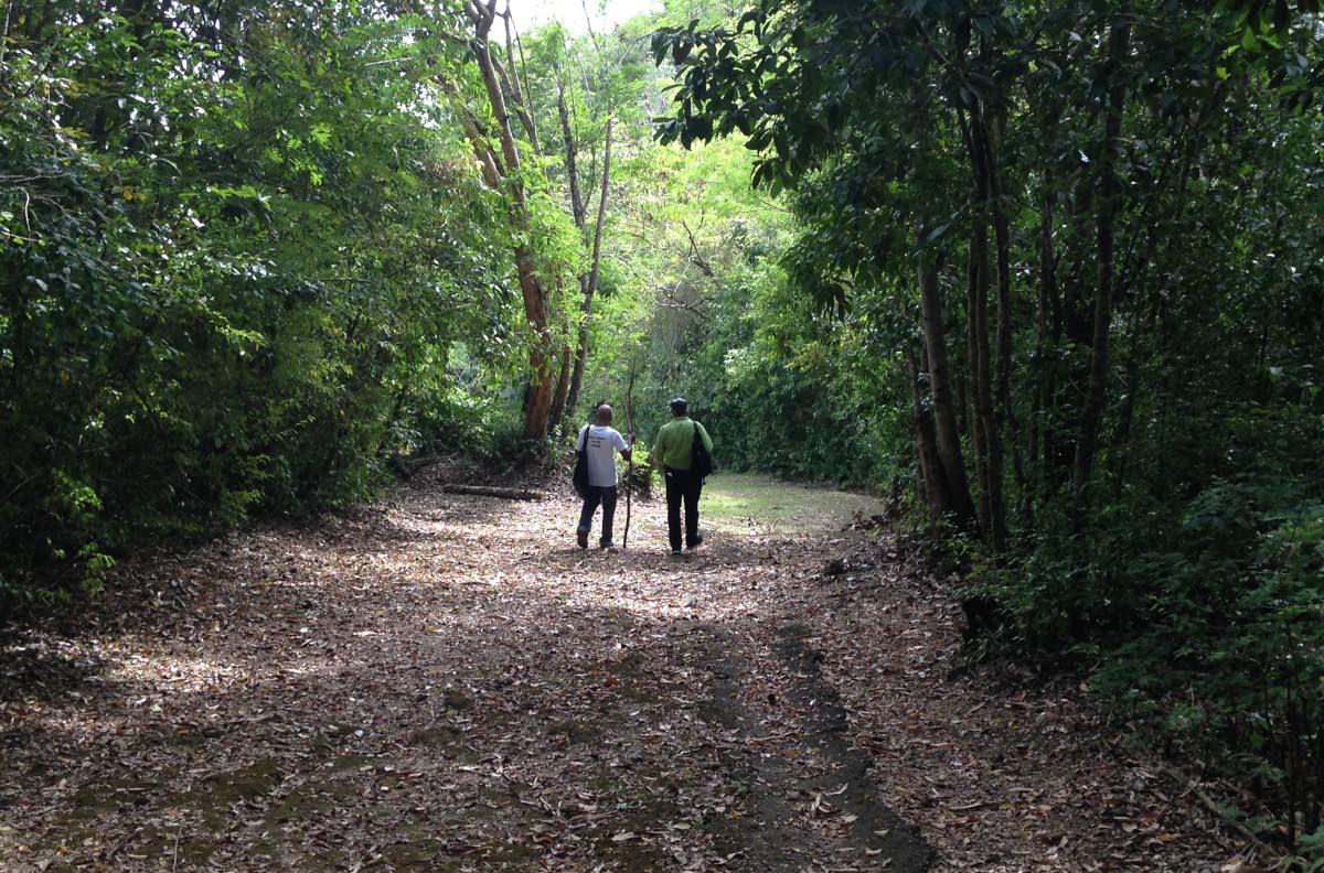 Warao Nation to walk for ancestors