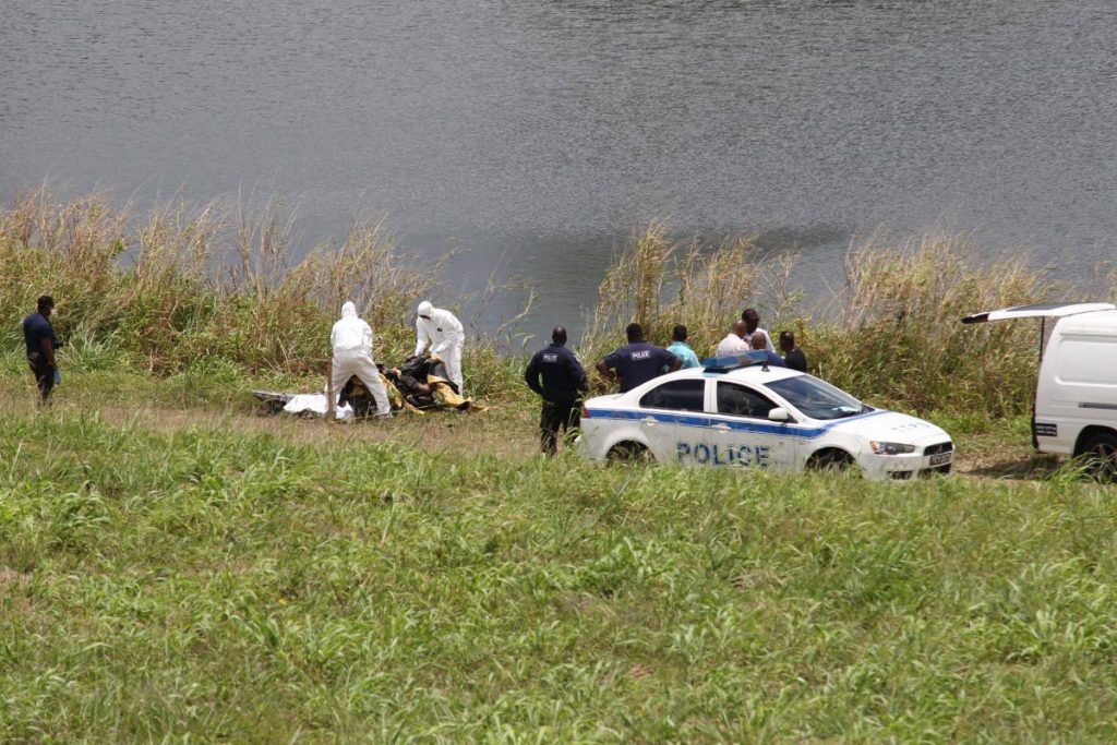 GRUESOME FIND: Police remove a body from a pond at Usine 
Ste Madeleine, yesterday. PHOTOS BY LINCOLN HOLDER