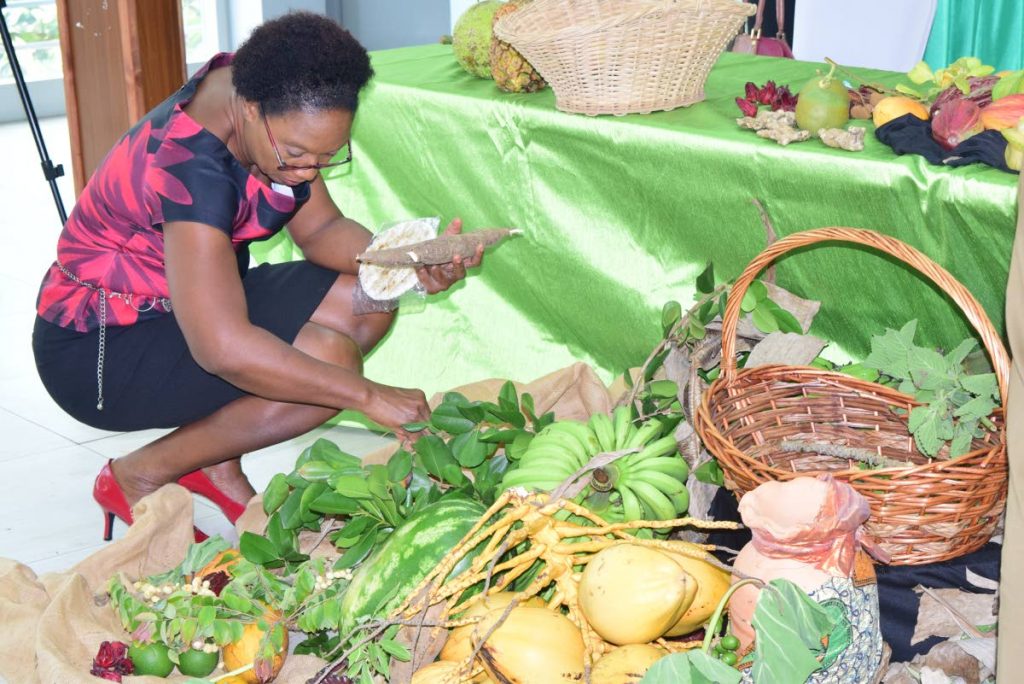 A visitor to the Eat Local campaign launch on Tuesday checks out the produce on display at the Division of Food Production on Tuesday at the Division of Community Development, Montessori Drive, Glen Road, Scarborough. 
