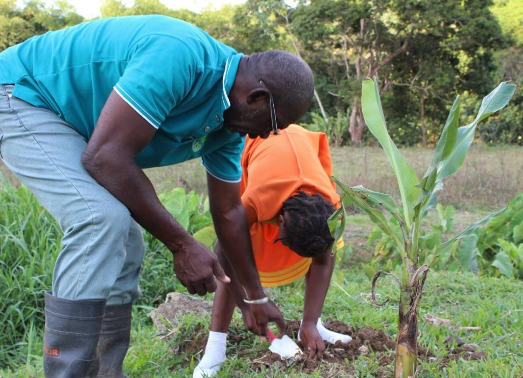 President of Tobago Agricultural Society, Micheson Neptune, shows a member of the Mason Hall Police Youth club how to plant a banana plant at an agricultural project on April 20 at the Mason Hall Y- Zone facility.