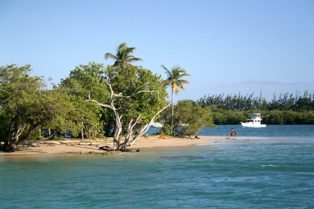 No Man’s Land, Tobago, the site for the proposed Sandals resort