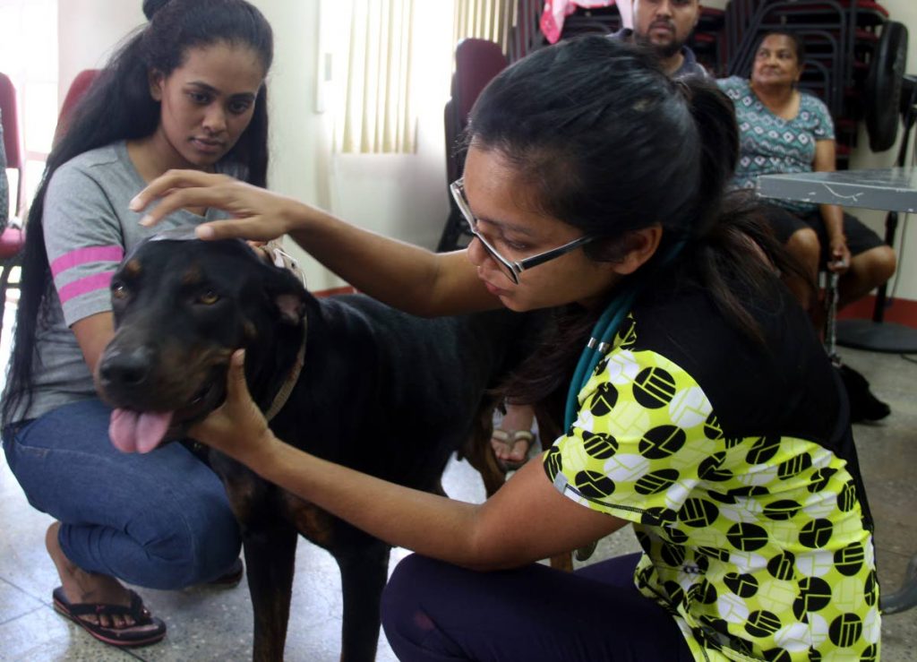 CHECK UP: Volunteer vet Dr Yashni Ramkhelewan, right, checks up Bella while owner Nikisha Ramlal looks on yesterday at the Animal 360 spay and neutering clinic at the Barrackpore Regional Complex.