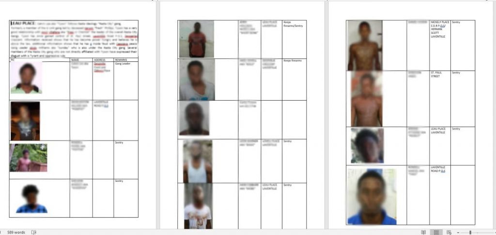 FOR ALL TO SEE: An 11 page document, complete with the headshot, name, alias, home address 
and position of Rasta City gang members was circulated on social media last week.