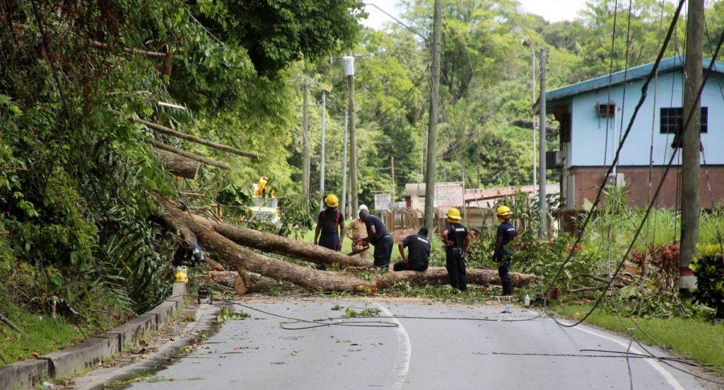 TIMBER: Firemen of the Siparia Fire Station cut  branches of a fallen tree across the Siparia Old Road yesterday. The tree toppled due to heavy  wind and rain in the area. PHOTO BY VASHTI SINGH