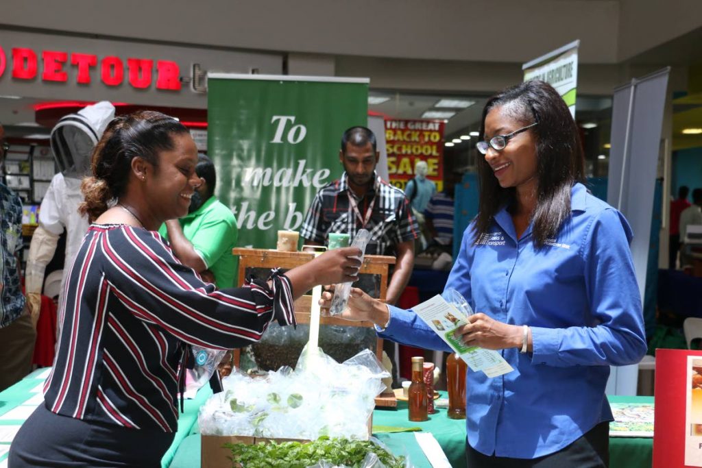 Public Service Outreach Campaign 2018: A mall patron receives a free seedling from a member of staff of the Ministry of Agriculture, Land and Fisheries at the ministry's booth during the Public Service Outreach Campaign 2018, hosted by the Ministry of Public Administration, Trincity Mall, Trincity on July 19, 2018. PHOTO COURTESY THE AGRICULTURE MINISTRY.