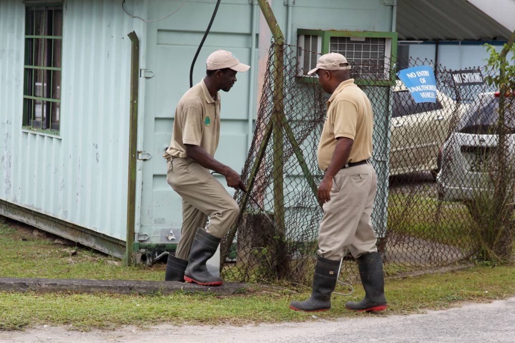 CONTROL: Emperor Valley Zoo workers spray around the Point Fortin hospital in 2018 after staff complained about snakes on the compound.