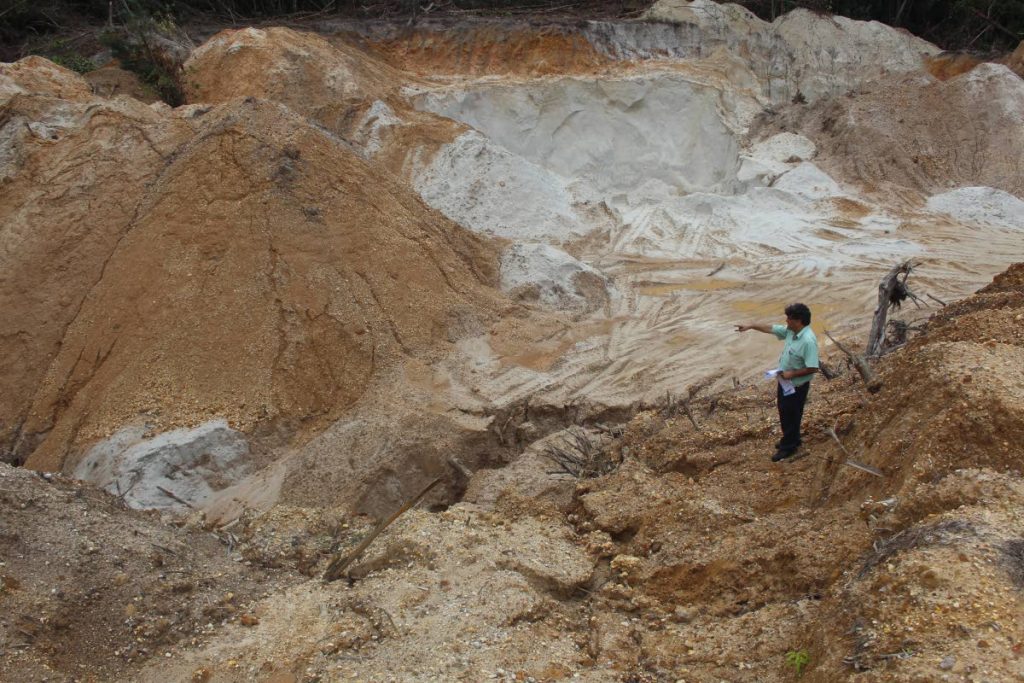 In this file photo Newsday reporter Sean Douglas points to barren soil in a crater left by illegal quarrying at the Melajo Nature Reserve. 