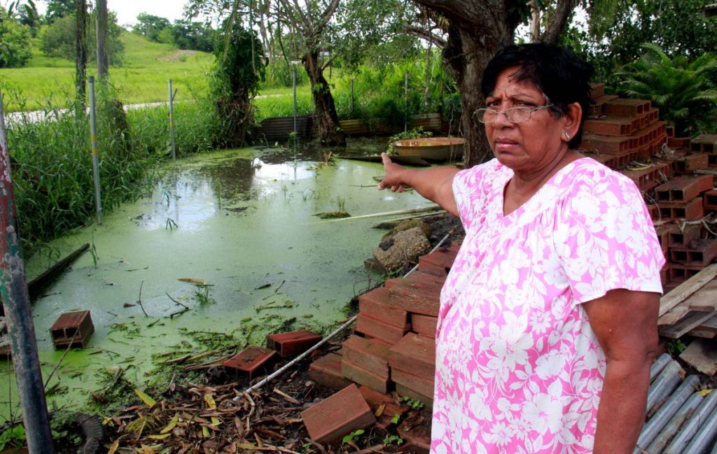Kamla Singh, of Tennant Road, Woodland points to stagnant water  in her yard yesterday.
PHOTO BY ANIL RAMPERSAD.