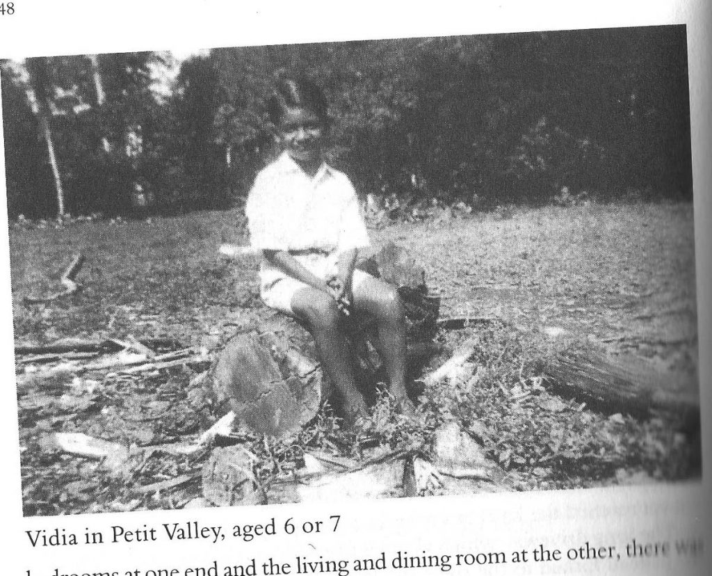  VS Naipaul, age six or seven, at the family's Petit Valley cocoa estate. Recopy photo from The Naipauls of Nepaul Street.