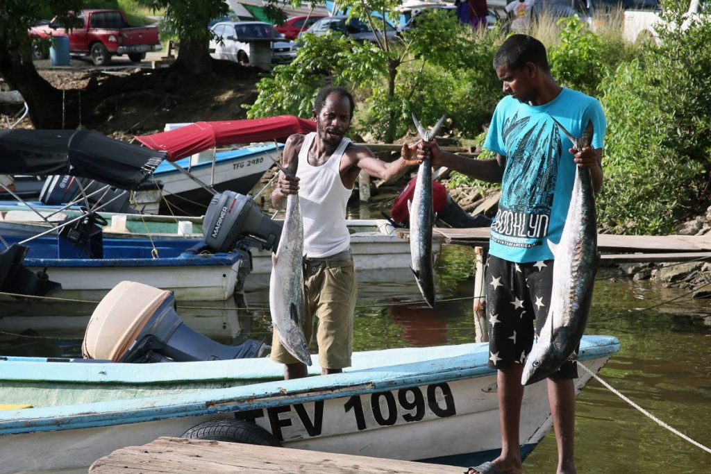 Fishermen arrive with their catch at Alcan fishing depot, Chaguaramas
PHOTO BY AZLAN MOHAMMED
Monday, 20th August, 2018