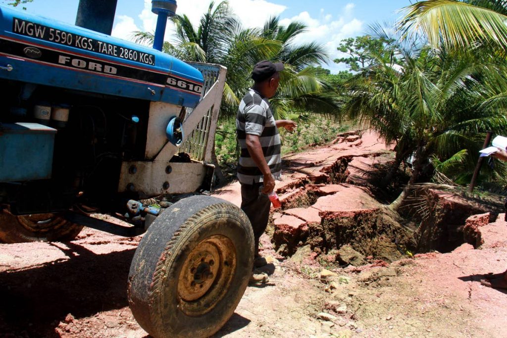 Farmer Nobbie Mathura points the the damaged road at Hillview in Los Iros, the road which farmers use to get their produce out.
PHOTO BY ANIL RAMPERSAD