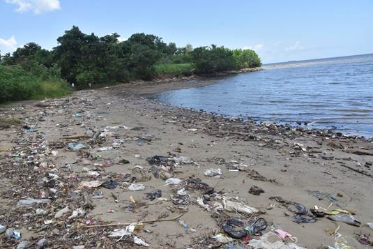 Some of the litter on a section of the Foreshore along the coastline early September 2018. Photo courtesy Ministry of Planning.