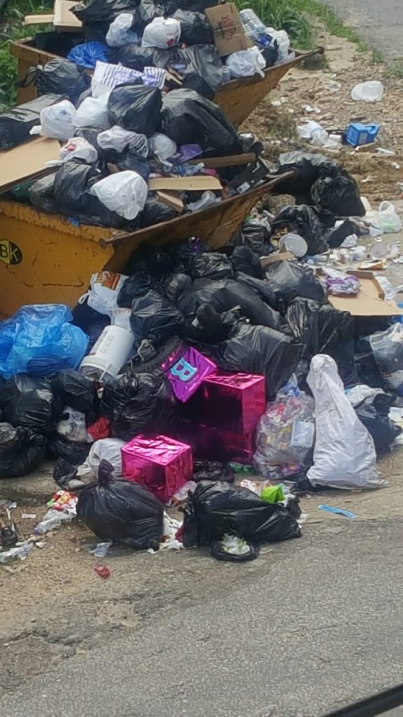 File photo: Garbage on Haig Street

Photo: Ryan Hamilton- Davis