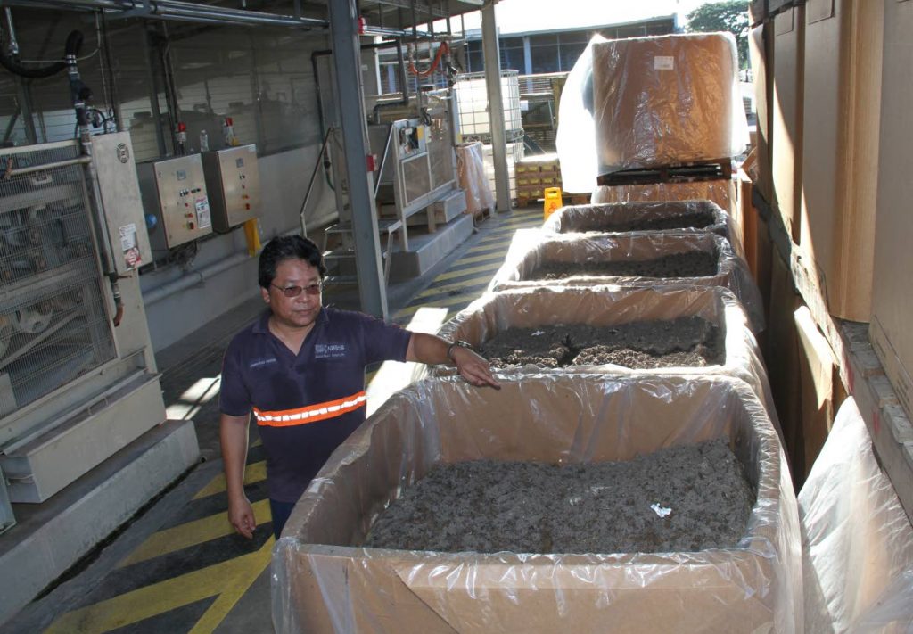 GOOD WASTE: Nestle Industrial Services Manager Joseph Chin Cheong shows the fertiliser produced for farms as a by-product of the waste water treatment plant at Valsayn. 