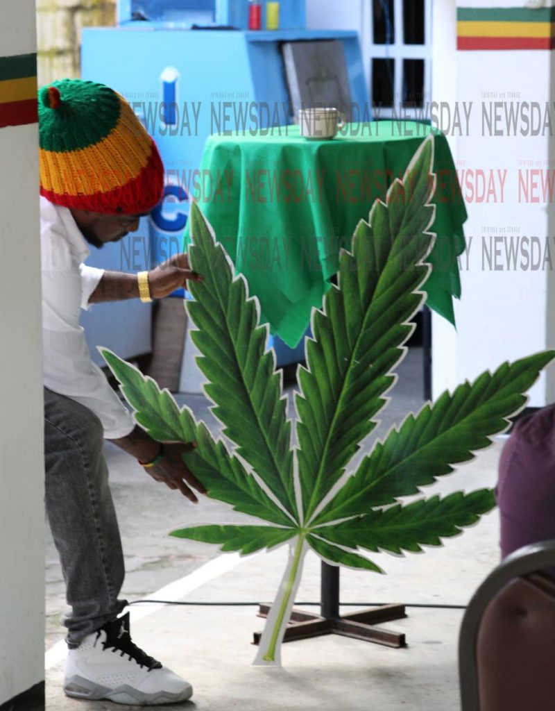 Isiah Daniel of Lion's Den Productions, helps adjust a cannabis prop at the media conference hosted by the All Mansion of Rastafari (AMOR) to discuss issues surrounding the decriminalisation of cannabis in TT at the Twelve Tribes Headquarters, Diego Martin, Wednesday. PHOTO BY ROGER JACOB.  