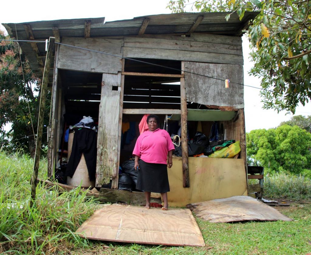 WHAT NEXT?: Zeia Flemming stands in front of her Pleasantville home which, she claimed, was partially destroyed by the landowner who has been trying for some time to get her to leave.  PHOTO BY VASHTI SINGH