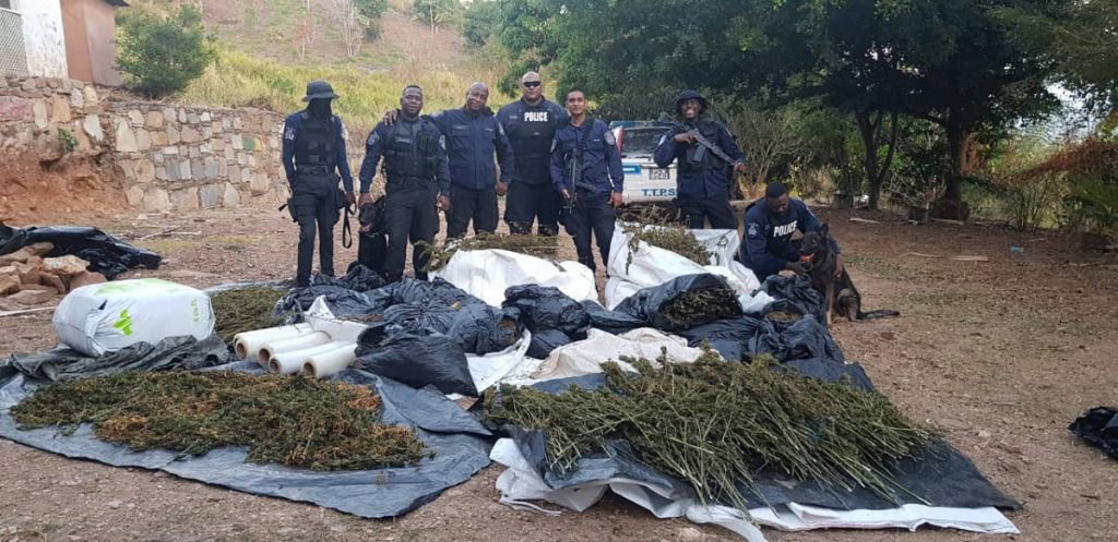 Cops stand over a million-dollar haul of marijuana and stolen car parts, a result of an exercise conducted on Wednesday