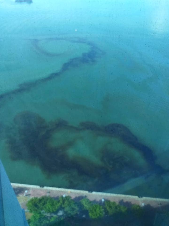 A photo taken from FFOS’ Facebook page shows the oil spill in the water by the Hyatt Regency, last Tuesday.
