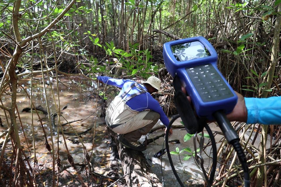Environmental Officers of the Division of Infrastructure, Quarries and the Environment operates the multi parameter sonde (equipment used to test water quality) at a wetland site in Tobago.