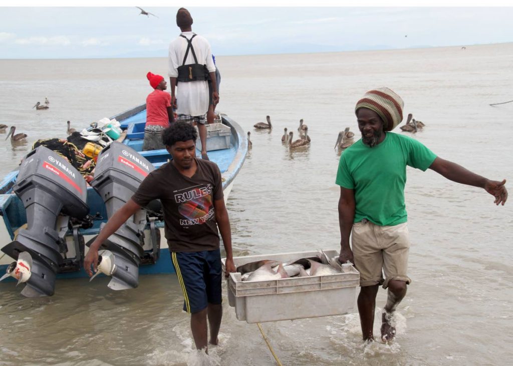 At left Ashton Beharrylal and Lennard Grant right carry a box full of  fishes to shore. Photo by Vashti Singh