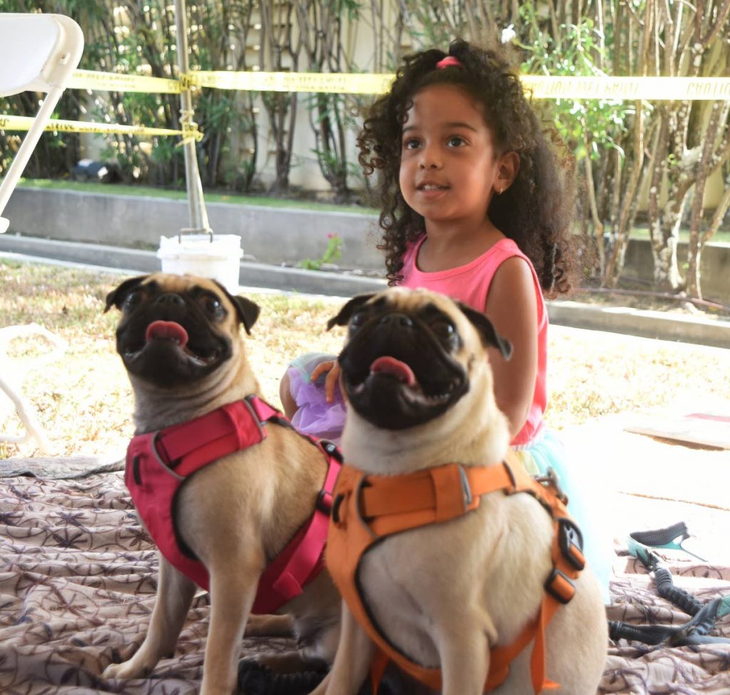Four-year-old Khloe Lawrence made friends with these French bulldogs, Paris and Milan.   PHOTO BY KERWIN PIERRE