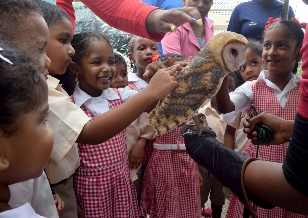 Pre-Schoolers of 'Little Bunnies' Pre-School excitedly pet an owl brought by the El Socorro Centre for Wildlife Conservation at an 'Educational Fun Day' hosted by Councillor for Marabella West La Verne Smith held  for pre-schoolers of the Marabella area on Thursday.

Photos: Vidya Thurab
