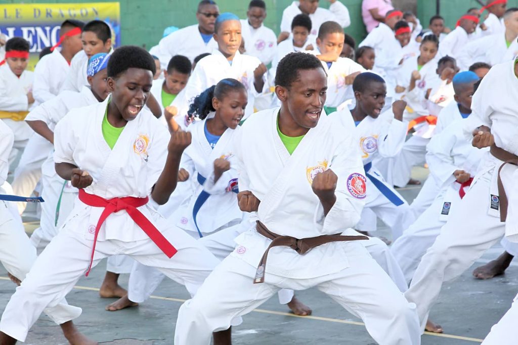 Students of Purple Dragon’s Don Jitsu Ryu system go through a routine during a grading event,held yesterday, at the Jean Pierre Complex, Port of Spain.