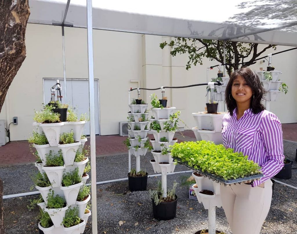 Faariah Khan-Singh of Green Age Farms at Hyatt Trinidad system set up. Photo courtesy Green Age Farms