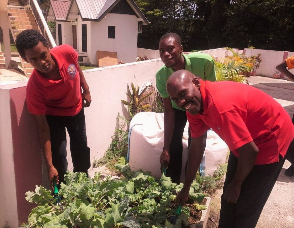 Students show off their lettuce and kale which was planted in the school’s kitchen garden.