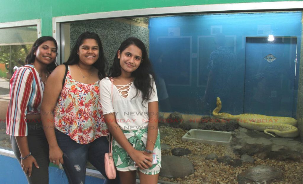Visitors Jade Jagpat, from left, Ishana Lakhan and Rianna Jaglal take a picture with Mustard the Albino Burmese Python in the background as they recognised World Snake Day at the Emperor Valley Zoo yesterday. PHOTO BY AYANNA KINSALE 