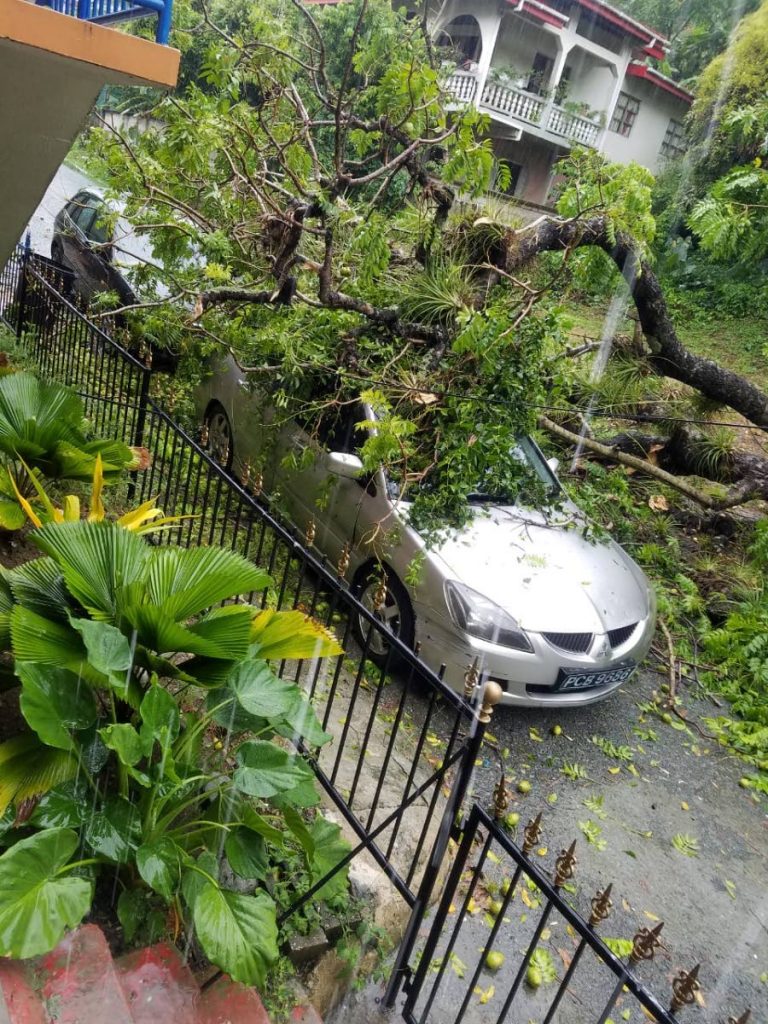 A car was damaged by a fallen tree at Union Village, after heavy rainfall on Tuesday. 
