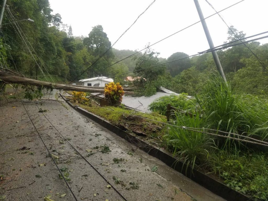 KAREN’S POWER: The Dunveygan Road in Whim was completely inaccessible due to a fallen tree and utility pole in Tropical Storm Karen’s wake on Sunday. The pole and tree were partially resting on a nearby house. 