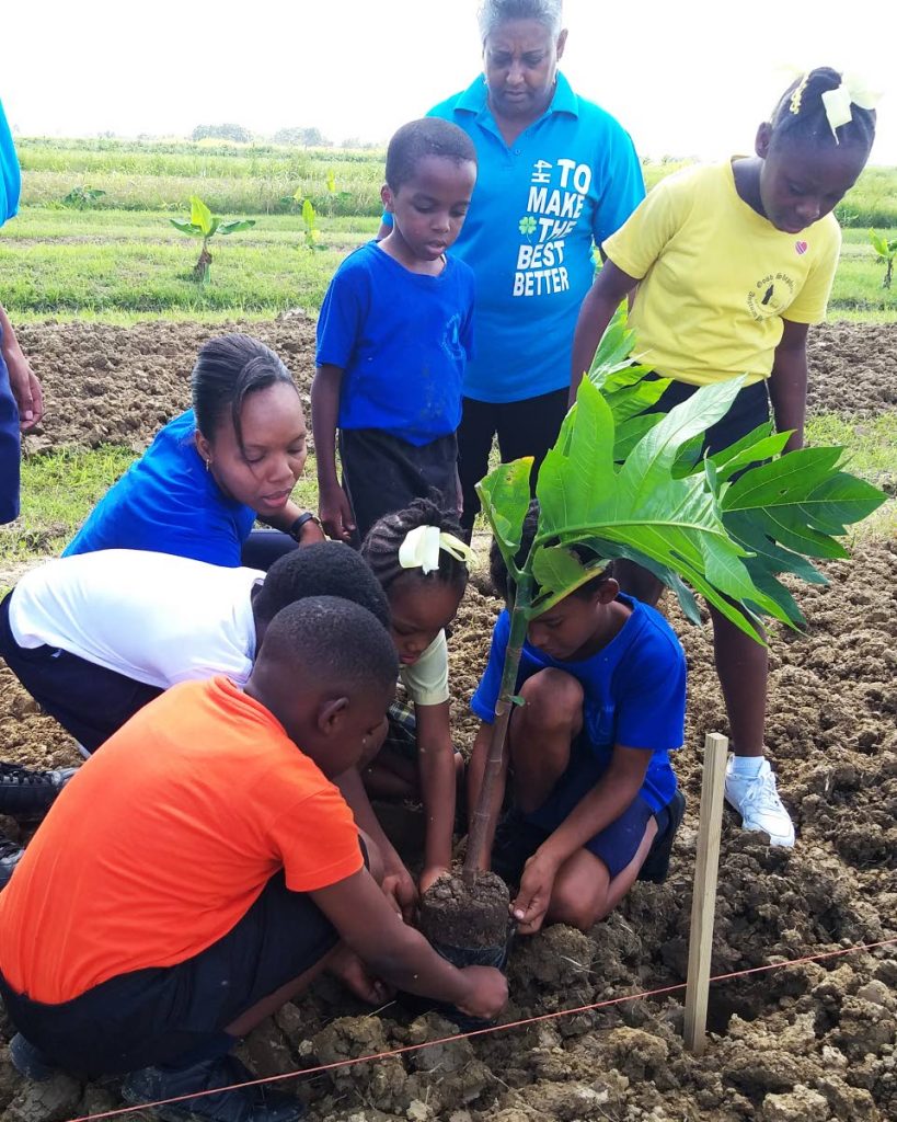GREEN HANDS: Students of the Tunapuna Anglican Primary School plant a breadfruit tree yesterday at the UWI's Agricultural Innovation Park in Orange Grove as part of the university's observation of World Food Day. PHOTO BY TYRELL GITTENS - 