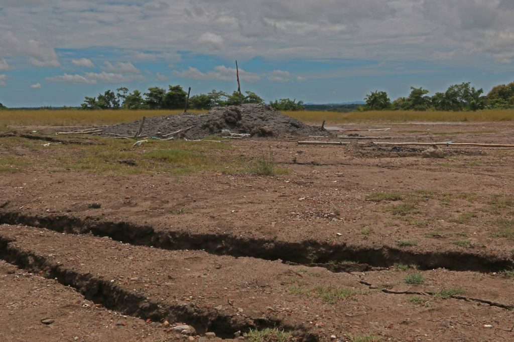 Cracks in the ground after the Piparo mud volcano rumbled six weeks ago. FILE PHOTO