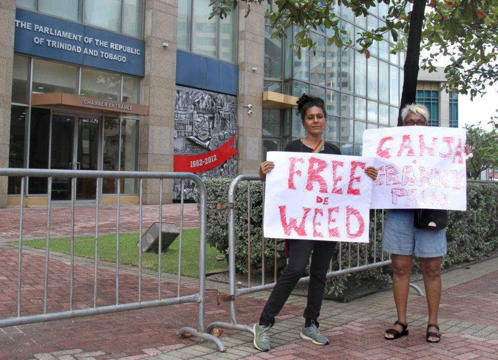 Nazma Muller and Angel Halo call for the legalisation of marijuana outside of Parliament. - Ayanna Kinsale