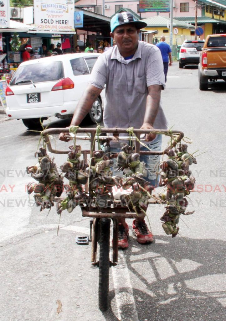 Navin Deonath uses his bicycle to sell crabs in Penal on Monday.  
 - Vashti Singh