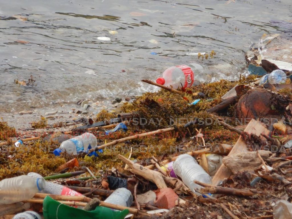 This file photo shows plastic pollution along Hart’s Cut, Chaguaramas. 