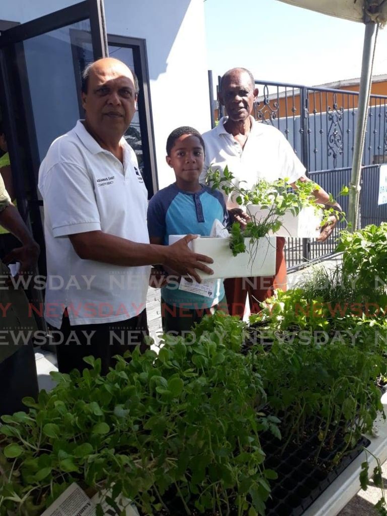 PLANTING SEEDS: Chaguanas East MP Fazal Karim, left, assists Sydney Blackman, centre, with his seedling haul at the MP’s New Year’s Day plant distribution drive. Looking on at right is Blackman’s grandfather, Benedict Craig. 
PHOTO BY JONATHAN RAMNANANSINGH - 