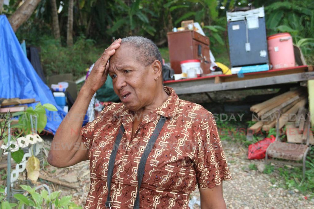 An emotional Elizabeth Cox of Lady Hailes Ave, San Fernando, sits in the yard where her house collapsed on Ash Wednesday. - Marvin Hamilton